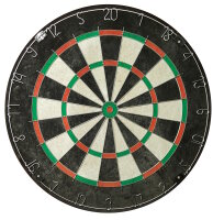 Roleo Steeldart Scheibe Dartboard für Einsteiger ideal