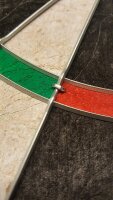 Roleo Steeldart Scheibe Dartboard für Einsteiger ideal