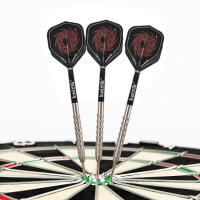 Steeldart Steel Dart Pfeile Keltik Carnac 24 g - 80% Tungsten