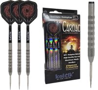 Steeldart Steel Dart Pfeile Keltik Carnac in 24g + 26g -...