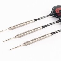 Steeldart Steel Dart Pfeile Keltik Carnac in 24g + 26g