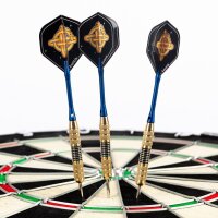 Steeldart Steel Dart Pfeile Keltik Dragon 19 g