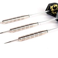 Steeldart Steel Dart Pfeile Keltik Karadoc 20 g