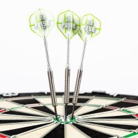 Steeldart Steel Dart Pfeile Keltik The Pulse Caliber 80% Tungsten 21 g