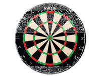 Keltik Ravencore Profi Bristle Dartboard Dartscheibe aus...