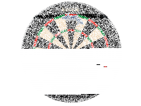 Keltik Dart Dartscheibe Komplettset: Profi Dartboard, Pfeile, Matte, Ring & Ständer