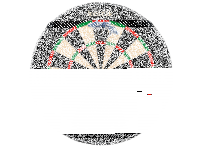 Keltik Dartscheibe Steeldart Set mit Dartboard, 2 Dartsets und Ständer